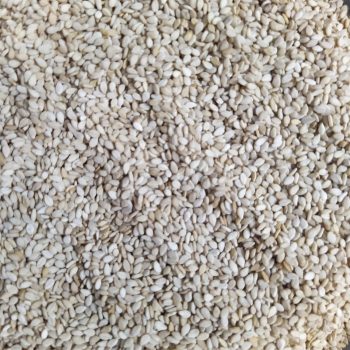 Gadarif White Sesame Seeds