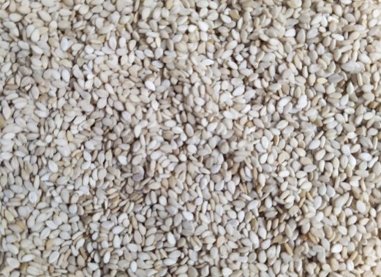 Gadarif White Sesame Seeds