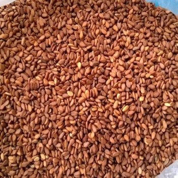 Reddish Sesame Seeds